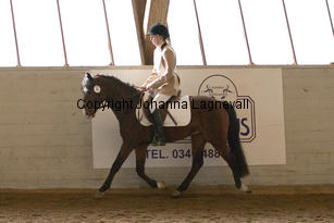 monty_4692-2.jpg