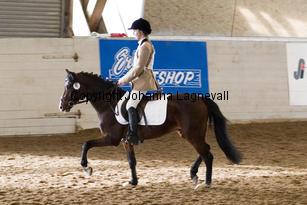 monty_4695-2.jpg