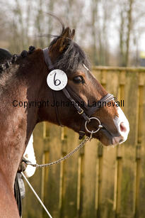 monty_4812-2.jpg