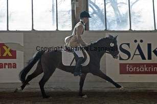 monty_8455-2.jpg
