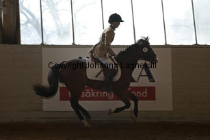 monty_8456-2.jpg