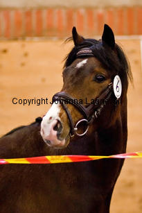 monty_8792-2.jpg