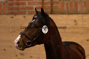 monty_8793-2.jpg