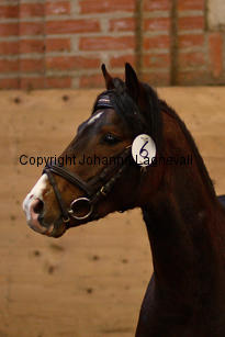 monty_8794-3.jpg