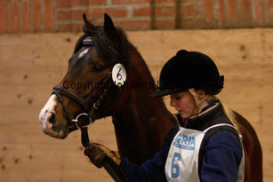 monty_8795-2.jpg