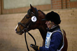 monty_8798-2.jpg