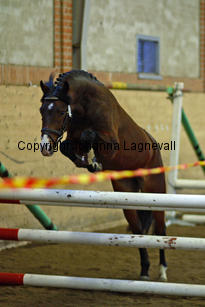 monty_8799-2.jpg