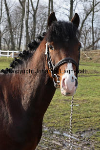 monty_8897-2.jpg