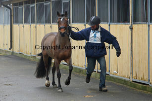 pondus_8347-2.jpg
