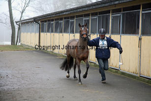 pondus_8353.jpg