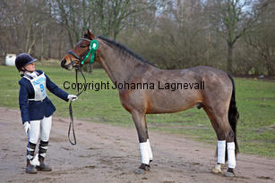 pondus_8921-2.jpg