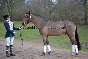 pondus_8924-2.jpg