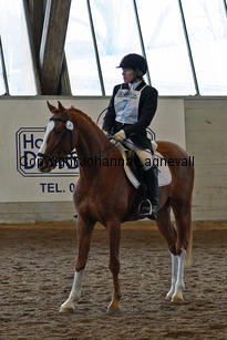 rubinspridema-gic_8543-2.jpg