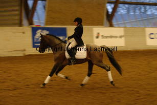 verdi_4775.jpg