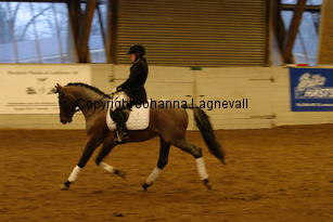 verdi_4777.jpg