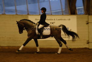 verdi_4779.jpg