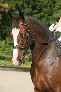 alec_5573-2.jpg