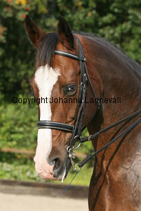 alec_5575-3.jpg