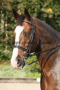 alec_5577-2.jpg