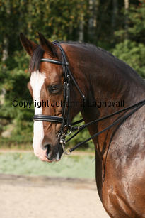 alec_5579-2.jpg