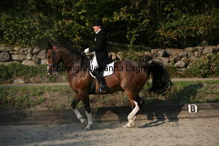 alec_5722.jpg