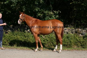 carizma_5177.jpg