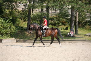 freeday_5285.jpg