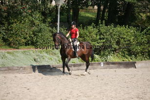 freeday_5288.jpg