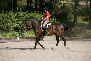 freeday_5319.jpg