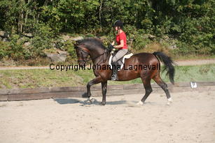 freeday_5375.jpg