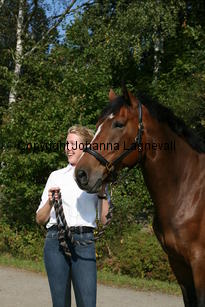 harry_4779.jpg