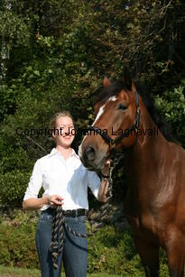 harry_4780.jpg