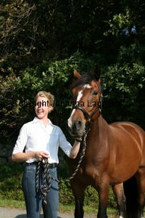 harry_4781.jpg