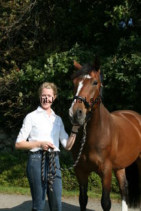 harry_4782.jpg