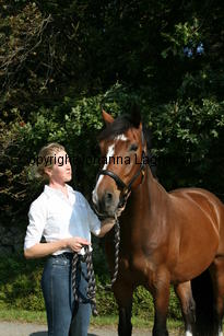 harry_4783.jpg