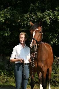harry_4786.jpg