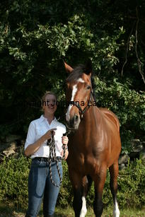 harry_4791.jpg