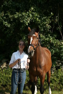 harry_4792.jpg