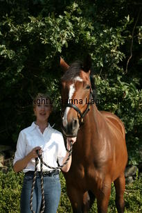 harry_4794.jpg