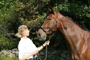 harry_4795.jpg