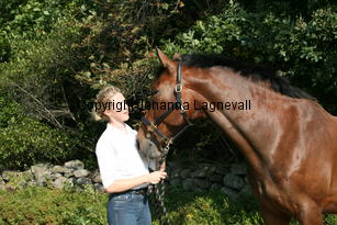 harry_4798.jpg