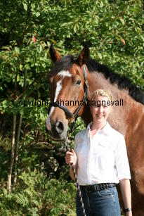 harry_4829.jpg