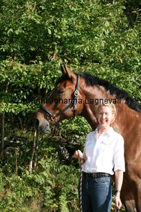 harry_4832.jpg