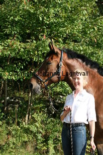 harry_4833.jpg