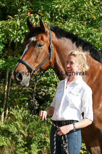 harry_4837-2.jpg