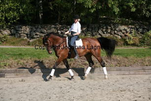 harry_4962.jpg