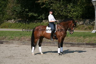 harry_5016.jpg