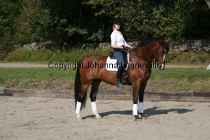 harry_5018.jpg