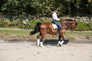 harry_5027.jpg