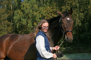 matzon_4636-2.jpg